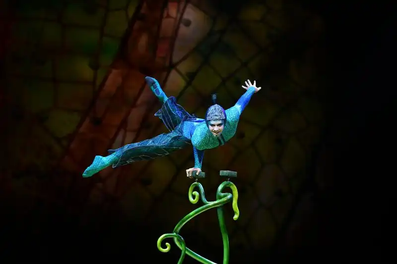 Cirque du Soleil Ovo