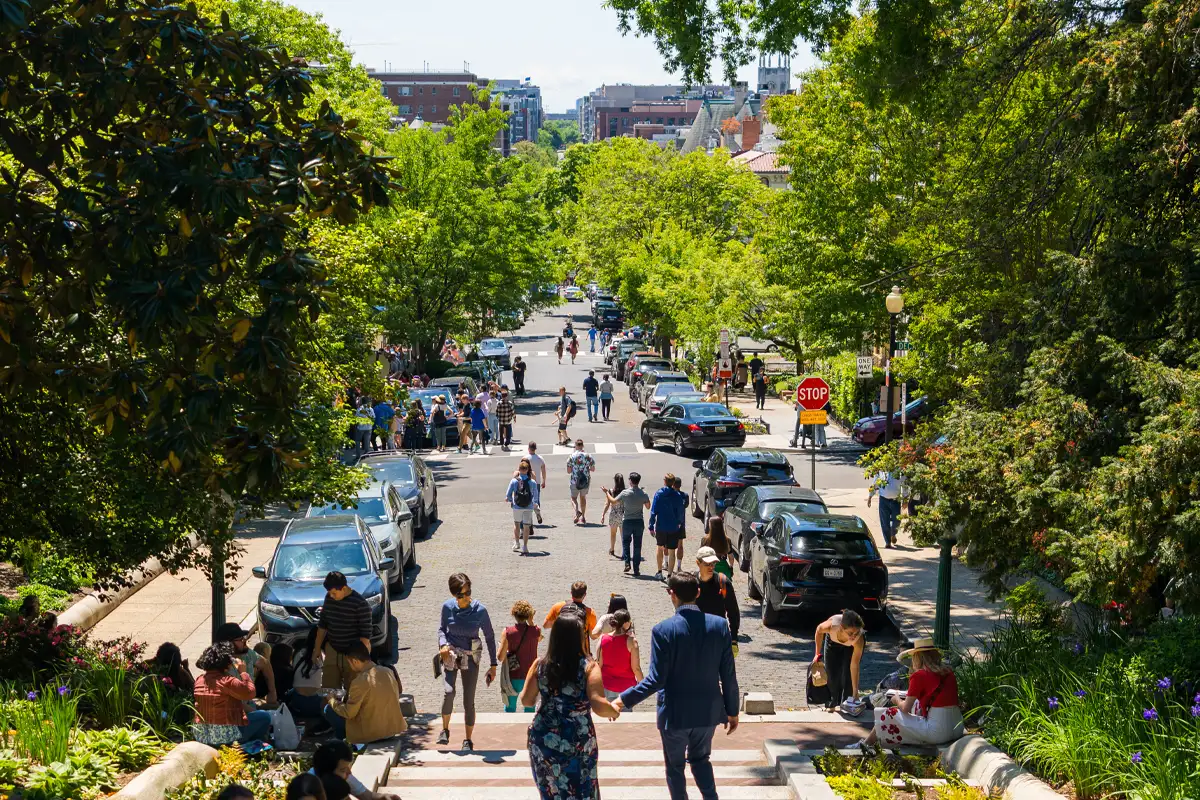Passport DC: Festival cultural que celebra a diversidade global em Washington