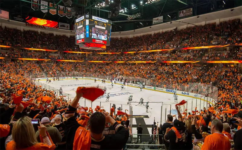 Anaheim Ducks (NHL)