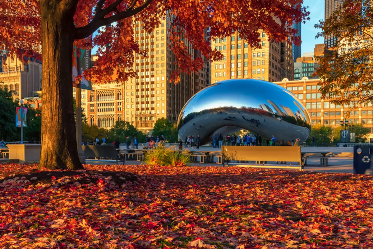 Atrações e passeios para aproveitar o outono em Chicago