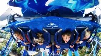 SeaWorld tem ingressos com até 65% de OFF na Black Friday