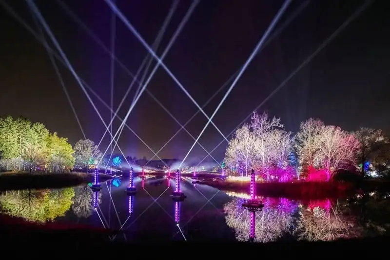 Illumination: Tree Lights at The Morton Arboretum