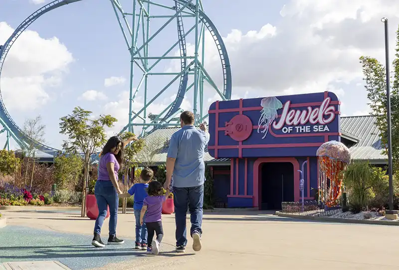Jewels of the Sea: The Jellyfish Experience