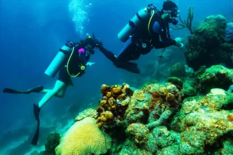 Visitantes podem salvar corais do Caribe em Aruba, em programa de sustentabilidade