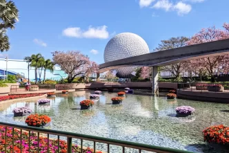 11 motivos para você aproveitar a Primavera em Orlando