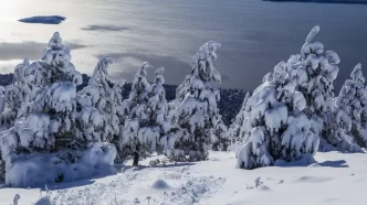 Bariloche traz experiência imersiva e gratuita de neve em São Paulo