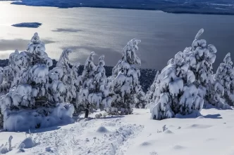 Bariloche traz experiência imersiva e gratuita de neve em São Paulo