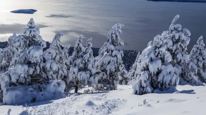 Bariloche traz experiência imersiva e gratuita de neve em São Paulo
