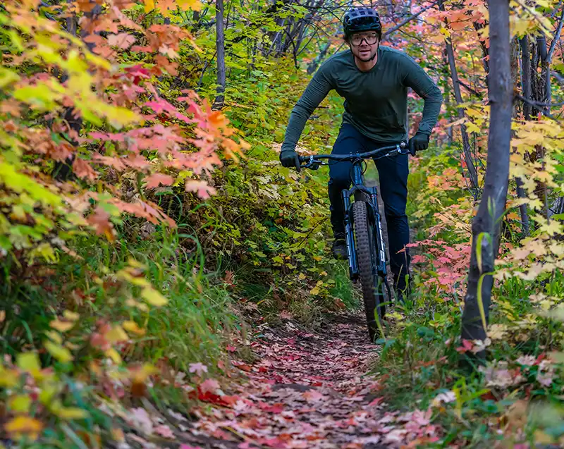 Park City no verão: Aventura, gastronomia e festivais nas montanhas