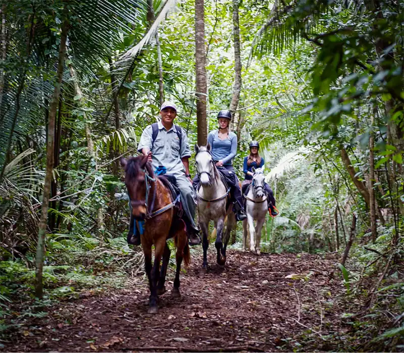 4 resorts exclusivos no Caribe com experiências, aventura e bem-estar