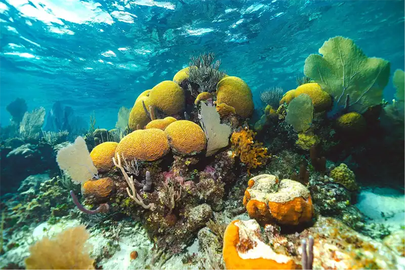 4 resorts exclusivos no Caribe com experiências, aventura e bem-estar
