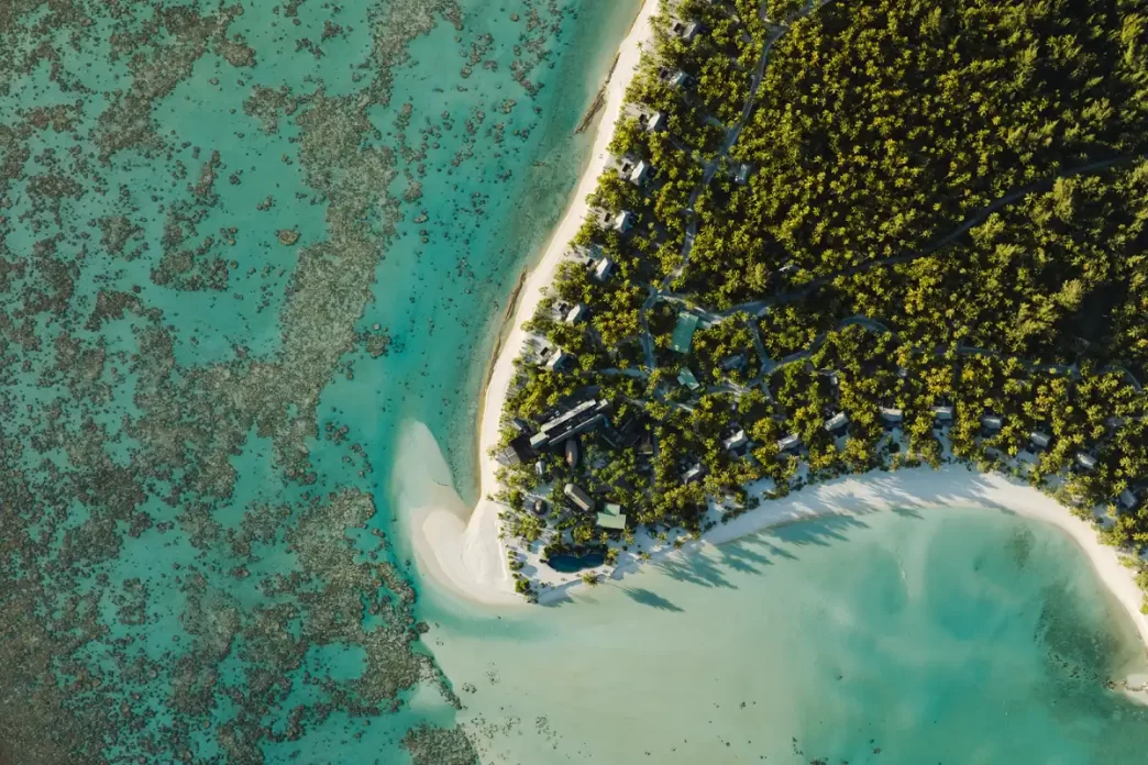 Observação de baleias Jubarte no Tahiti – uma experiência única no The Brando Tetiaroa
