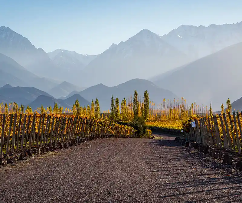 Casa de Uco Vineyards and Wine Resort (Mendoza, Argentina)
