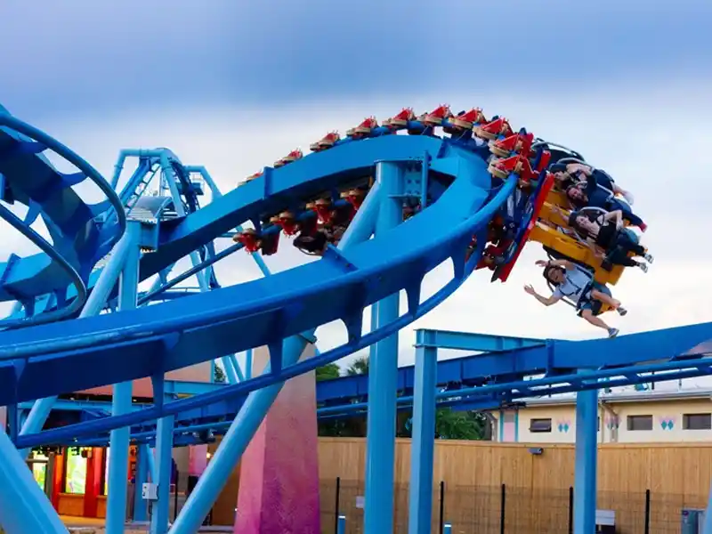 Verão em Tampa: Eventos, parques e muito mais a fazer em 2025