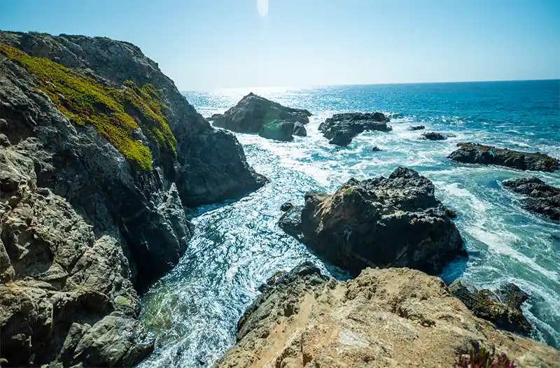 Bodega Bay.