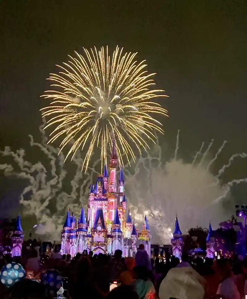 Happily Ever After