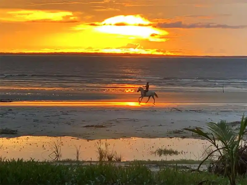 Praia de Algodoal (PA)