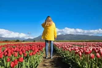 Promoção de primavera: Viaje para a Argentina com voos a partir de R$ 829