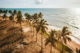 LATAM anuncia dois mil Voos extras e seis novas rotas para a alta temporada de verão