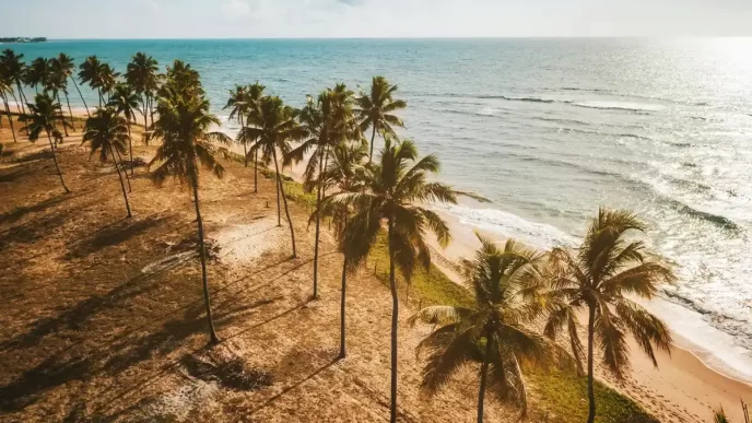 LATAM anuncia dois mil Voos extras e seis novas rotas para a alta temporada de verão