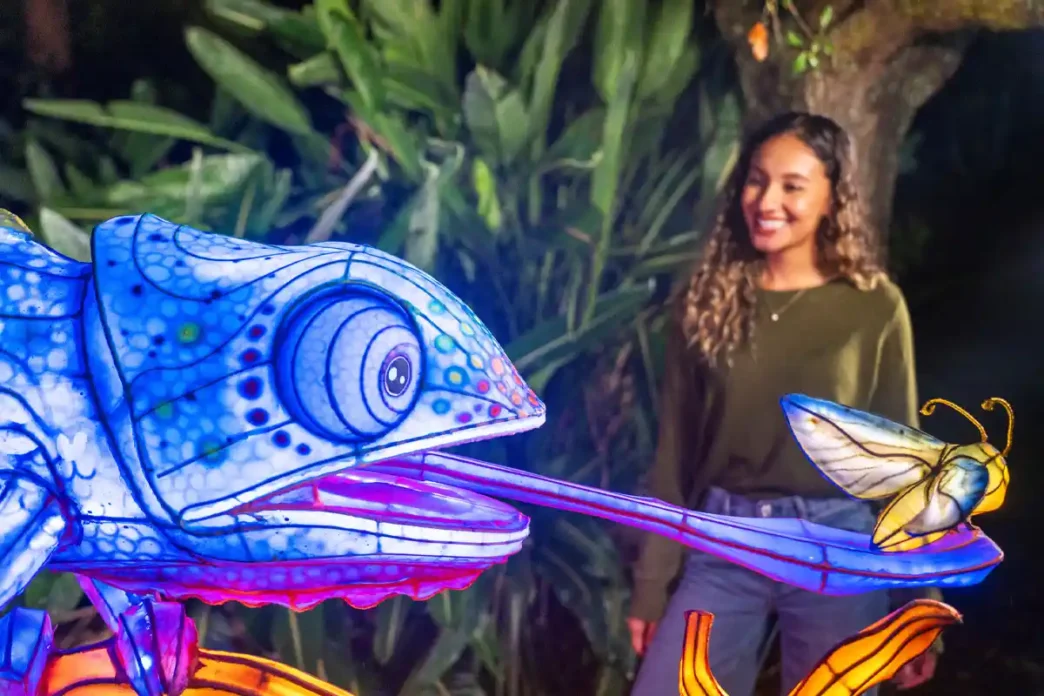 Aquatica Orlando apresenta novo festival de luzes para o fim de ano