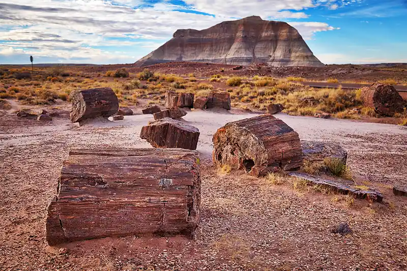 Petrified Forest National Park (Arizona)