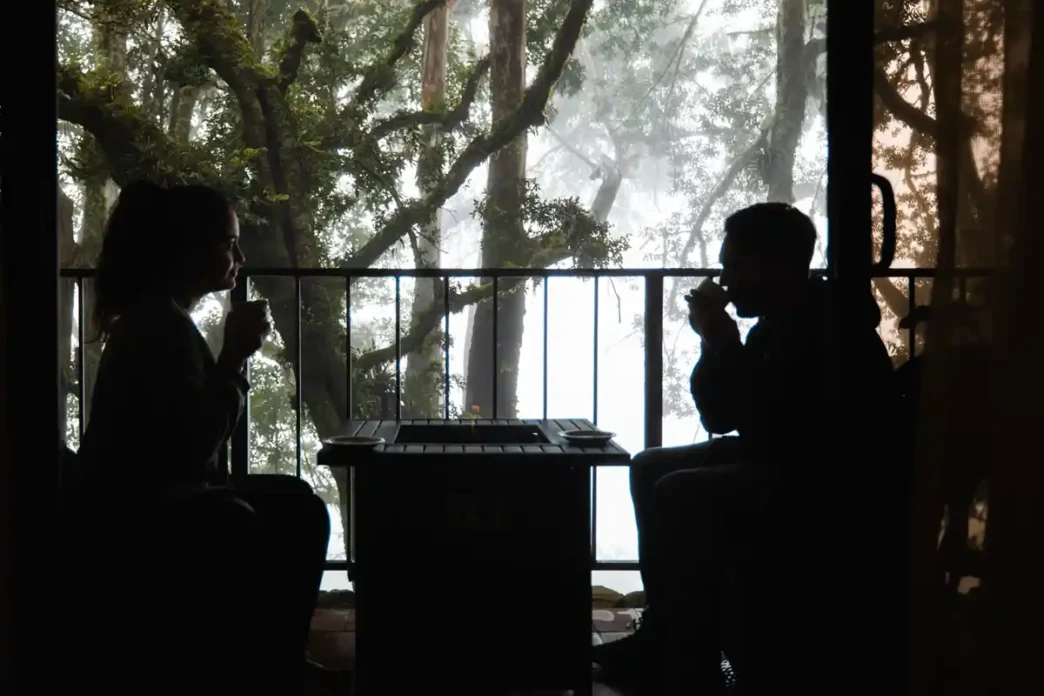 Por que o Panamá é o novo destino dos sonhos para amantes de café e natureza