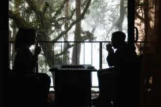 Por que o Panamá é o novo destino dos sonhos para amantes de café e natureza