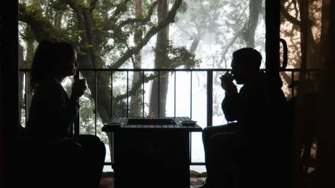 Por que o Panamá é o novo destino dos sonhos para amantes de café e natureza