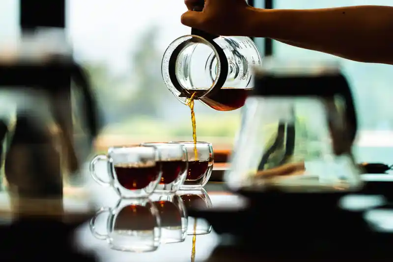 Por que o Panamá é o novo destino dos sonhos para amantes de café e natureza