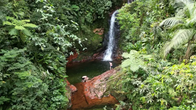 Aventura em Joinville: Rios, montanhas e caminhos históricos