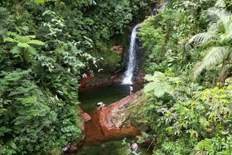 Aventura em Joinville: Rios, montanhas e caminhos históricos