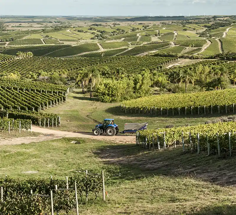 Punta del Este se consolida como destino de Luxo no Uruguai