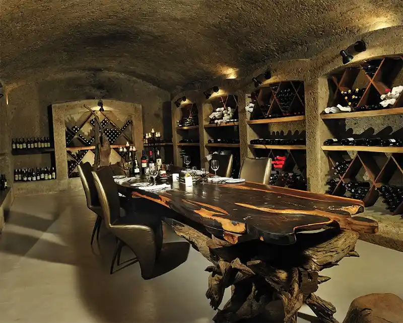 Uma jornada sensorial pelos vinhos da África do Sul com a Sabi Sabi