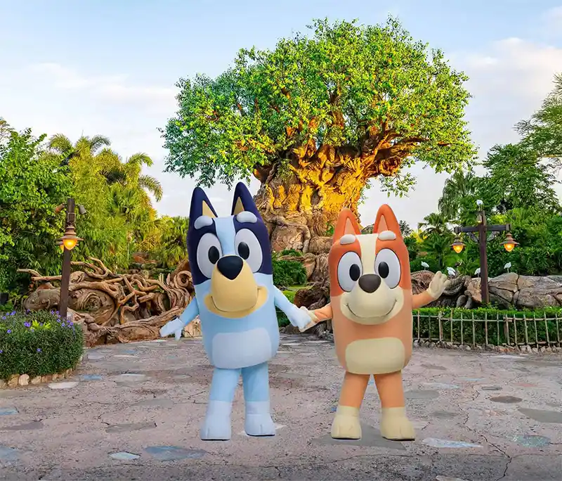 Bluey e Bingo no Animal Kingdom
