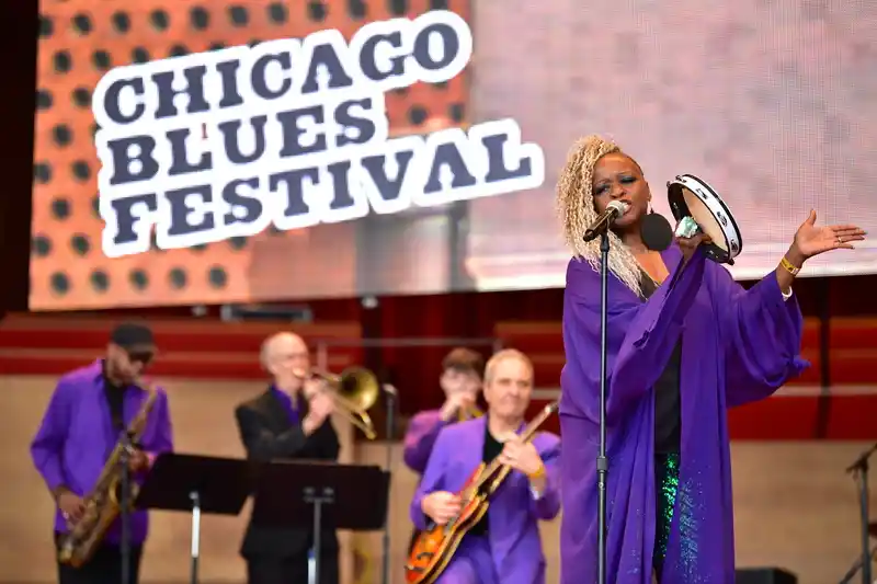 Chicago Blues Festival