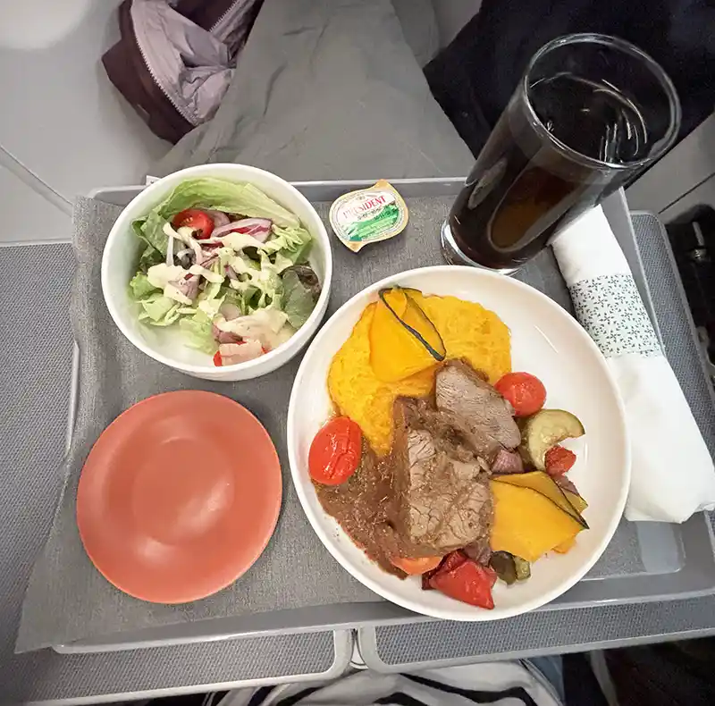 Como é voar pela Copa Airlines (Experiência completa)