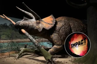 14 grandes exposições em Nova York em 2026é a grande atração do American Museum of Natural History em 2026 (Crédito: Alvaro Keding e Daniel Kim/AMNH)