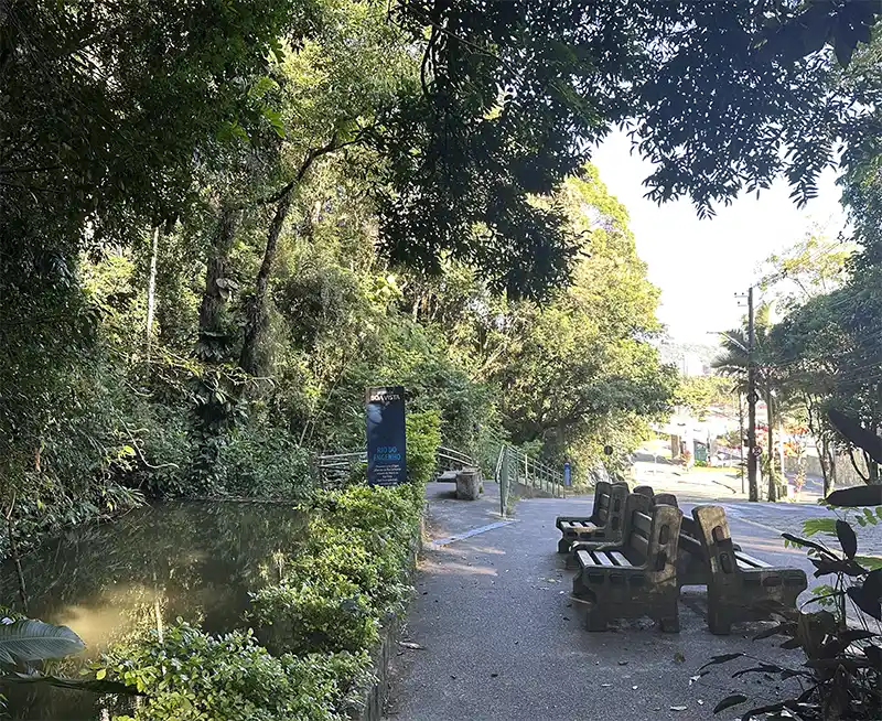 Joinville ao ar livre: parques, trilhas e experiências para viver a cidade em famílias