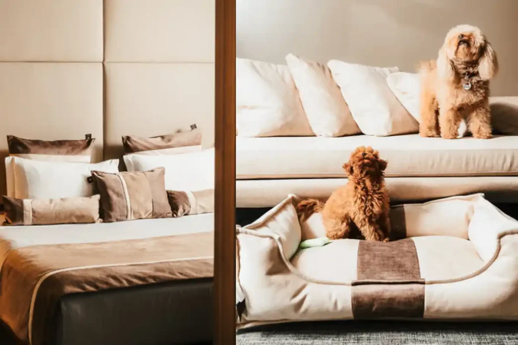 Conheça o hotel pet friendly em Milão com uma suíte inteiramente dedicada aos cães