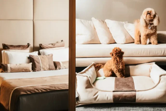 Conheça o hotel pet friendly em Milão com uma suíte inteiramente dedicada aos cães