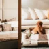 Conheça o hotel pet friendly em Milão com uma suíte inteiramente dedicada aos cães