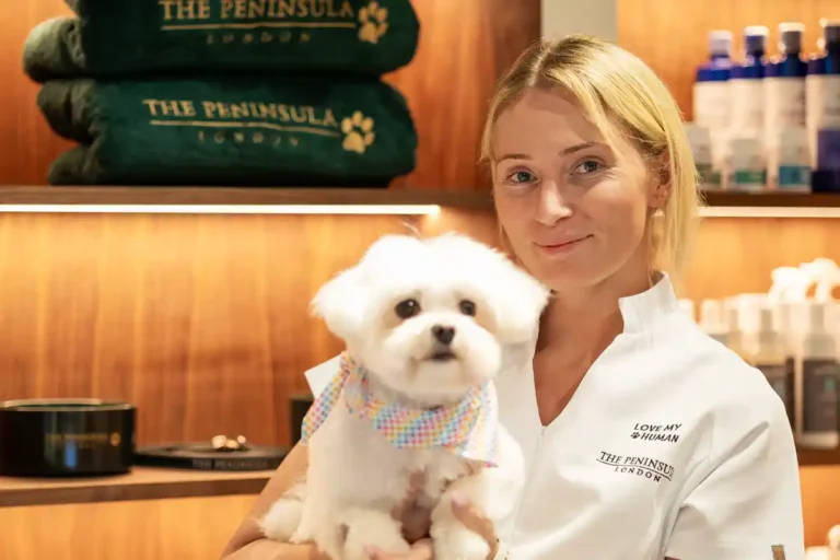 Luxo Pet-Friendly: The Peninsula inaugura o primeiro spa de banho e tosa para cães em hotéis de Londres