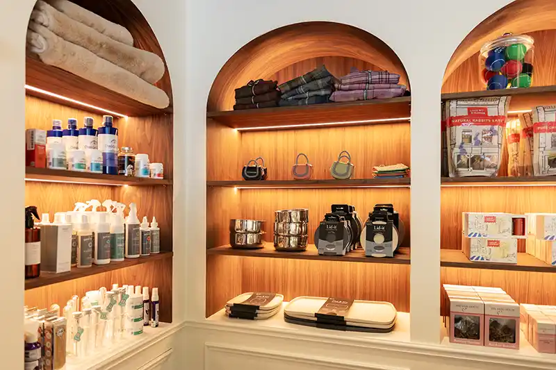 Luxo Pet-Friendly: The Peninsula inaugura o primeiro spa de banho e tosa para cães em hotéis de Londres