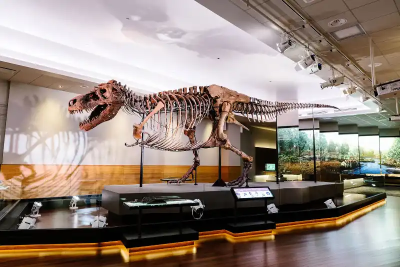 Field Museum