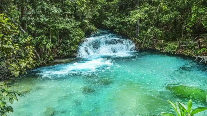 A área do Parque Estadual do Jalapão tem cerca de 160 mil hectares — Foto: Lester Scalon/Avis Brasilis