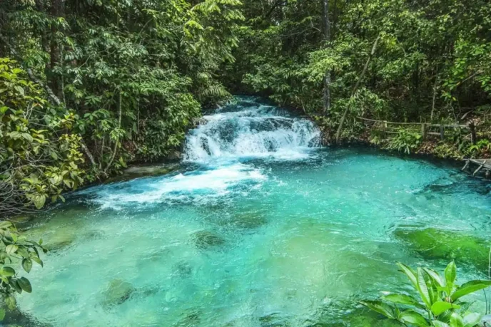 A área do Parque Estadual do Jalapão tem cerca de 160 mil hectares — Foto: Lester Scalon/Avis Brasilis